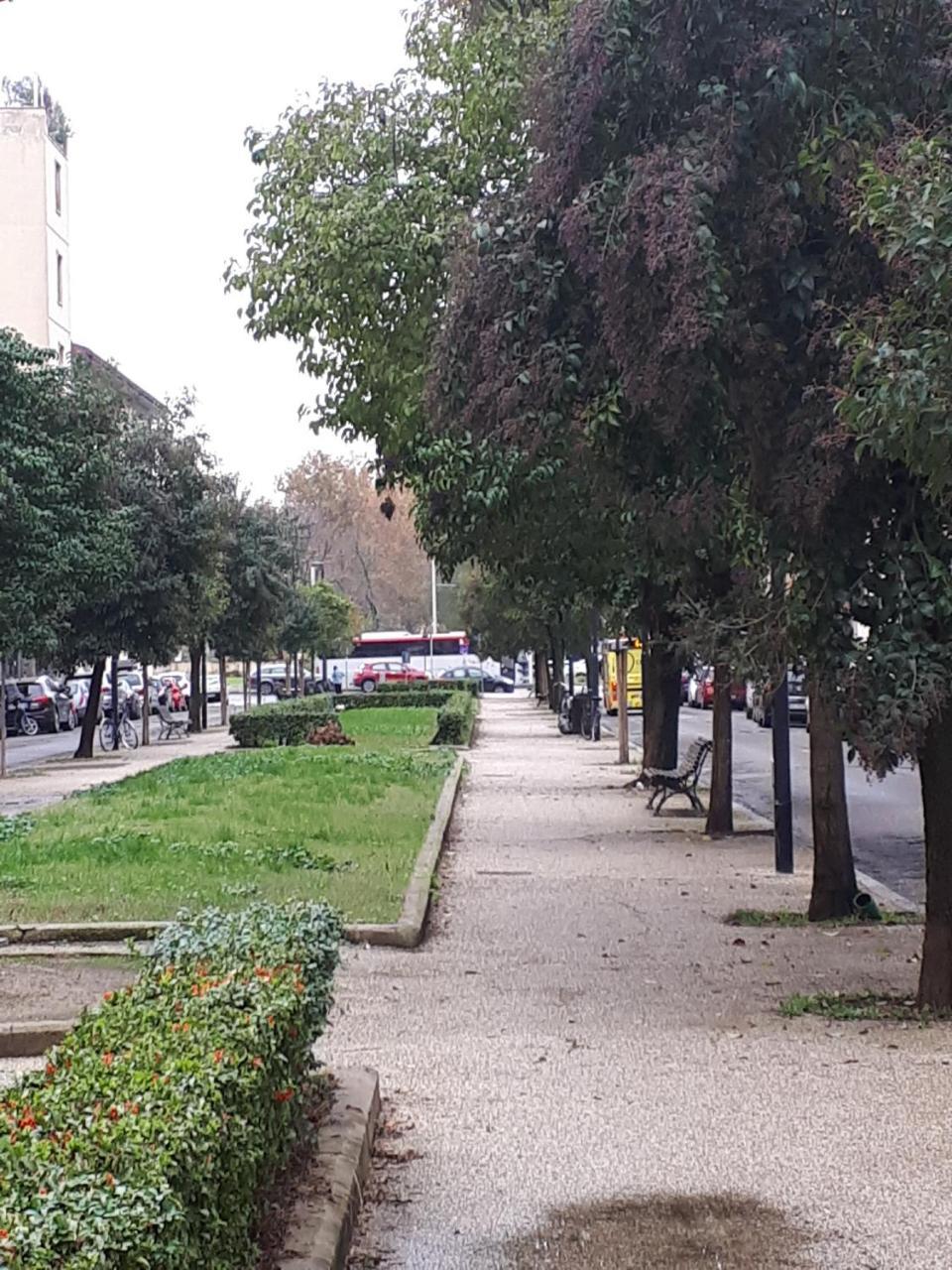 La Firenze Sogna Διαμέρισμα Εξωτερικό φωτογραφία